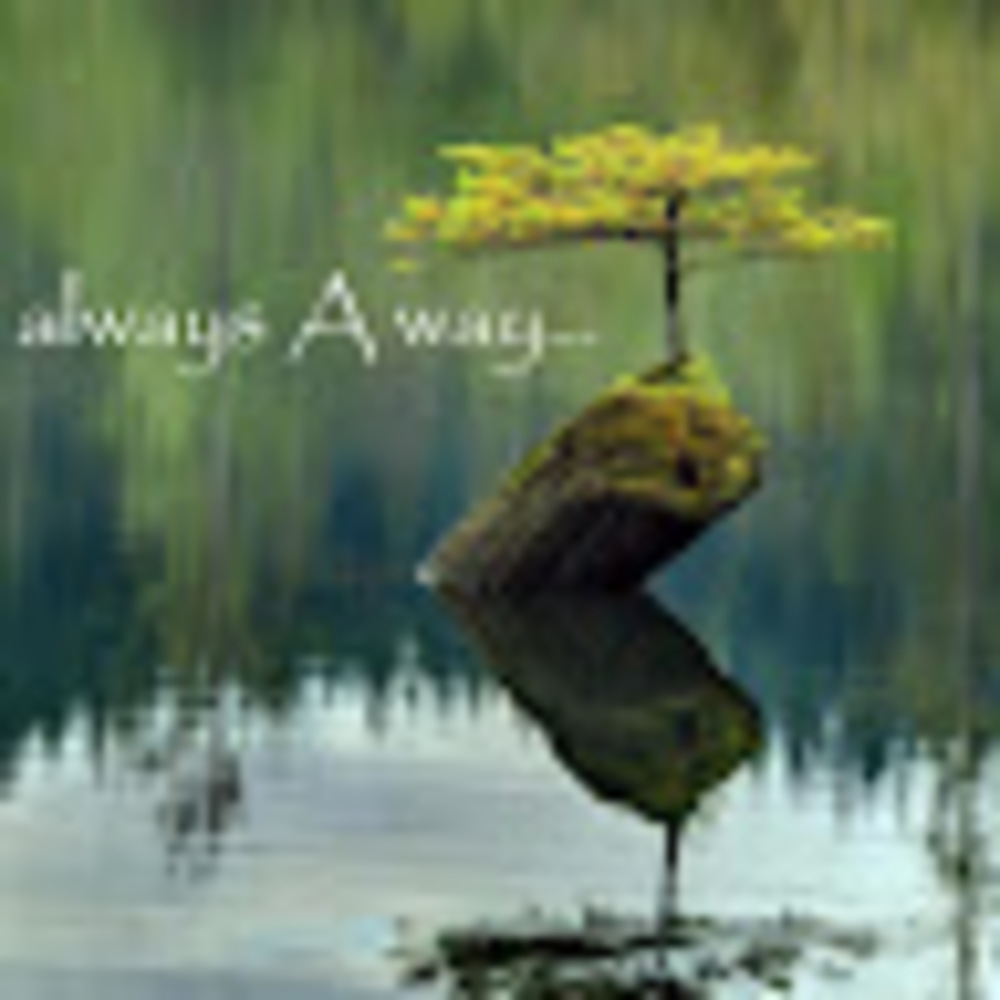 Meet your Posher, Abigail